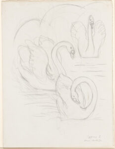 Study for “The Swan”
