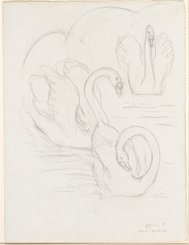 Study for “The Swan”