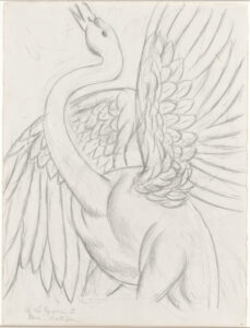 Study for “The Swan”