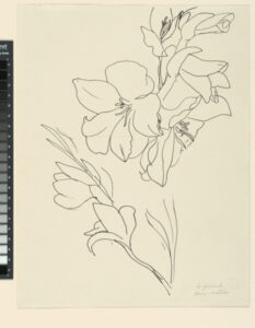 Study for “The Flowers”