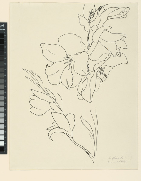 Study for “The Flowers”