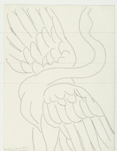 Study for “The Swan” (refused etching)