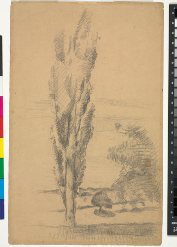 The Poplar (recto); Studies of Woman’s Head, Child’s Head and Bottle (verso) - Image 1