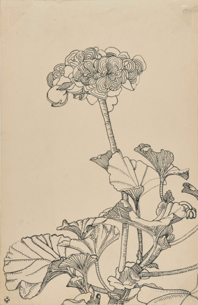 Flower and Leaves
