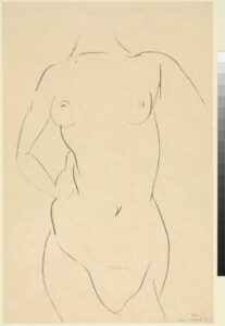 Frontal View of Torso