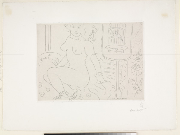 NUDE BY A CAGE OF PARROTS