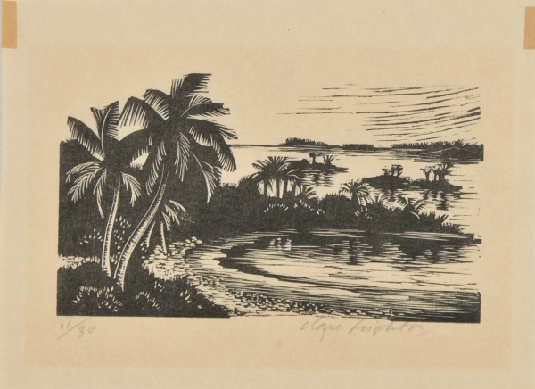 Palm Trees, Islands - Image 4