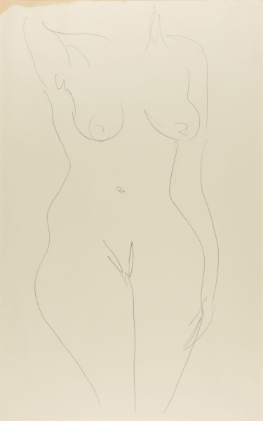 Torso