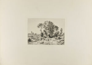 Trees on the Edge of a Pool