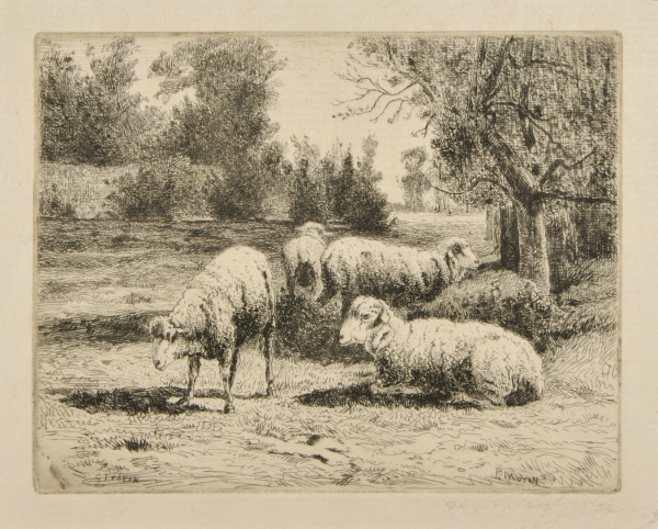 Landscape with Sheep