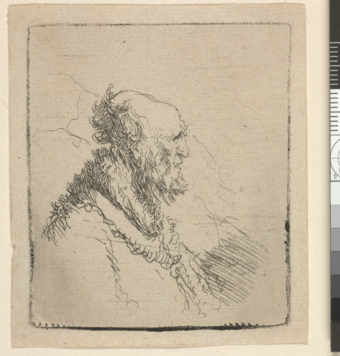 BALD OLD MAN WITH A SHORT BEARD, IN PROFILE FACING RIGHT