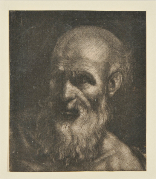 Head of an Old Man - Image 2