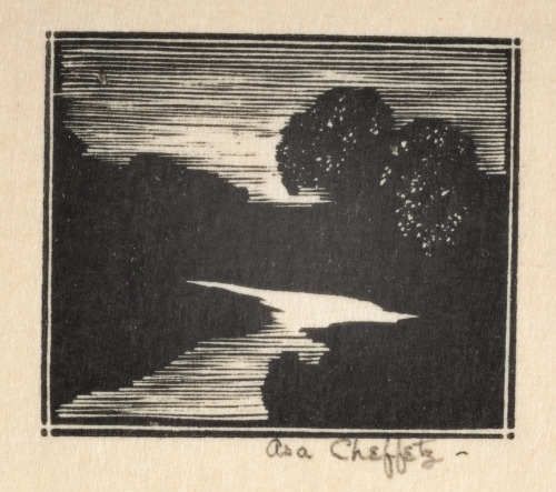 Untitled (Moonlight on Stream)