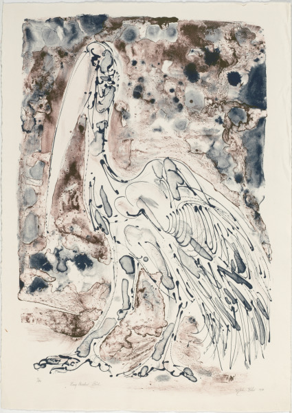 Long Beaked Bird - Image 2