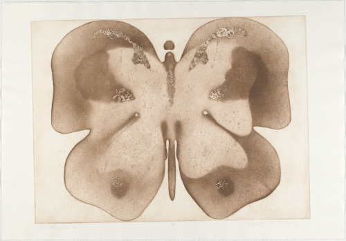 BUTTERFLY 6