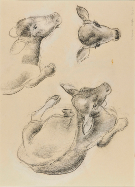 CALVES (RECTO); HORSES (VERSO)