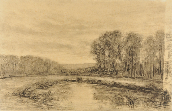 Evening Landscape - Image 2