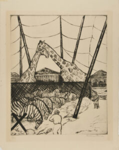 Affectionate Giraffes