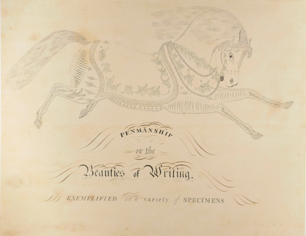 Penmanship or the Beauties of Writing Exemplified in a Variety of Specimens
