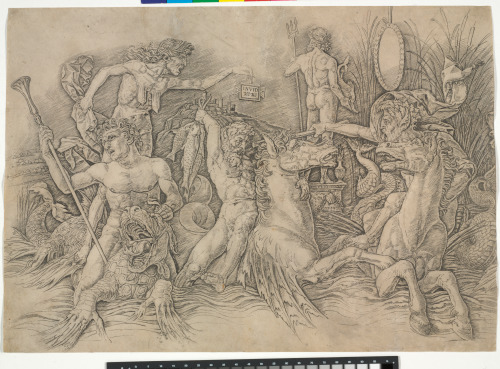 Battle of the Sea Gods - Image 3