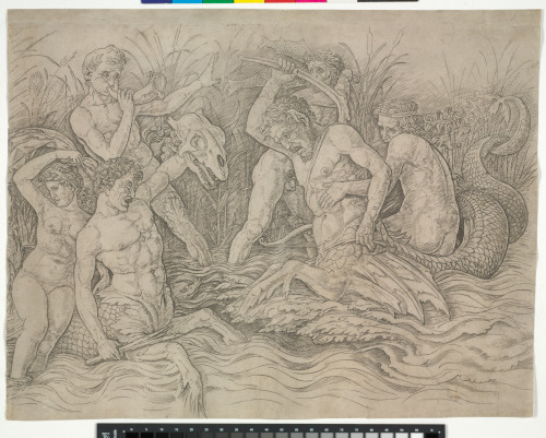 Battle of the Sea Gods - Image 2