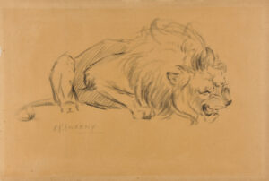 Snarling Lion (recto); Head of a Lioness (verso)