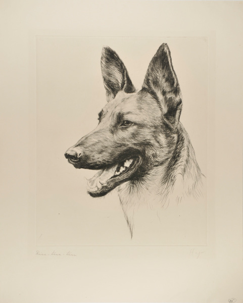 Rin-Tin-Tin