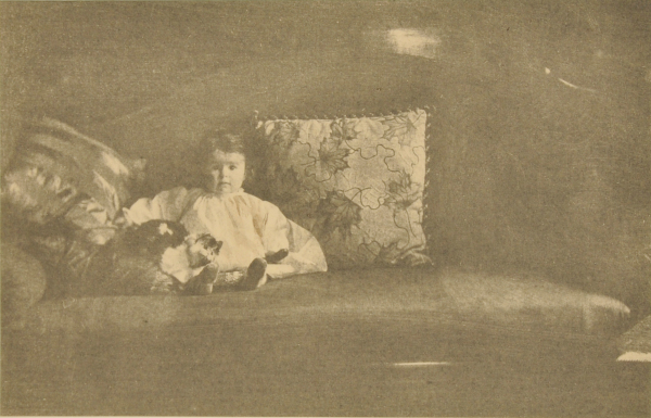 Child on Sofa with Cat - Image 4