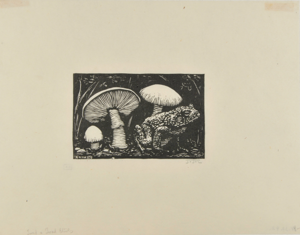 TOAD AND TOAD STOOLS