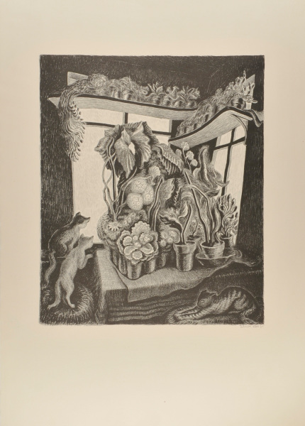 Winter Garden - Image 4