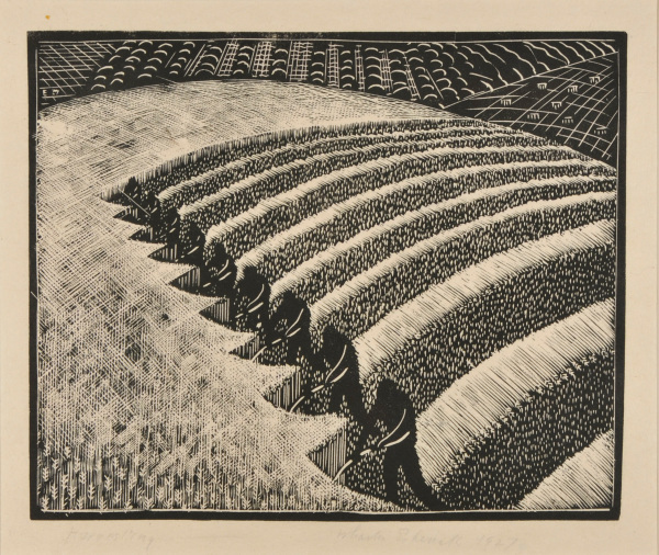 Harvesting - Image 2