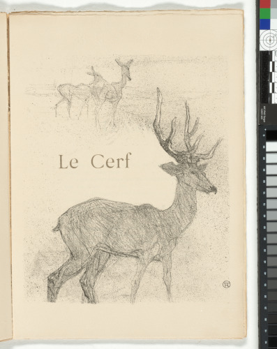 Histoires Naturelles - Image 15