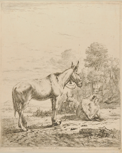 Le Mulets aux Clochettes - Image 2