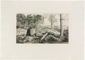 Simplicius in the Solitude of the Forest