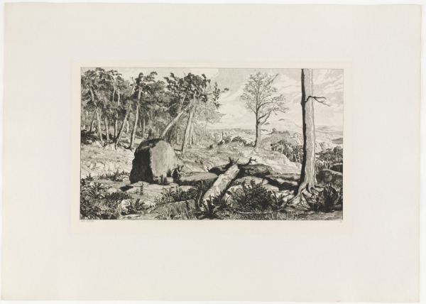 Simplicius in the Solitude of the Forest - Image 2