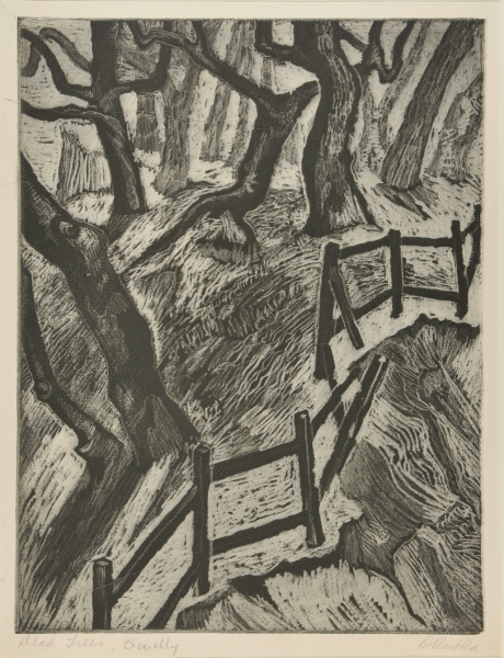 Dead Trees, Clevelly