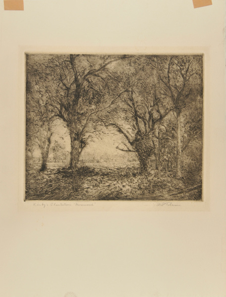 Kirby's Plantation, Morewood