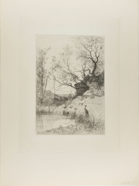 Woodland Pond, near Rossillon - Image 2