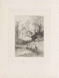 Woodland Pond, near Rossillon
