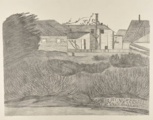 Homes Near G.G. Park S.F. Cal.