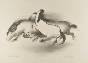Horse Group – Stallions