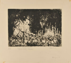 Fire on Backbone Mountain, Garrett County, Maryland