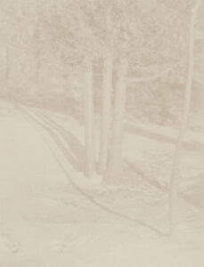 Judgement of Paris, a Landscape Arrangement