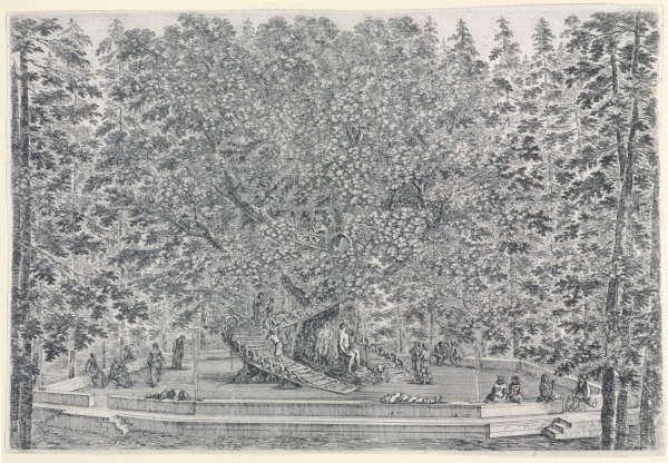 From the series “Views of the Villa of Pratolino” - Image 4