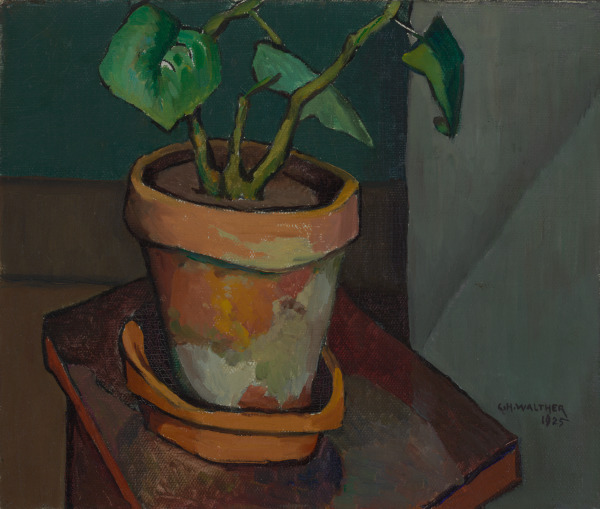 Attic Plant - Image 2