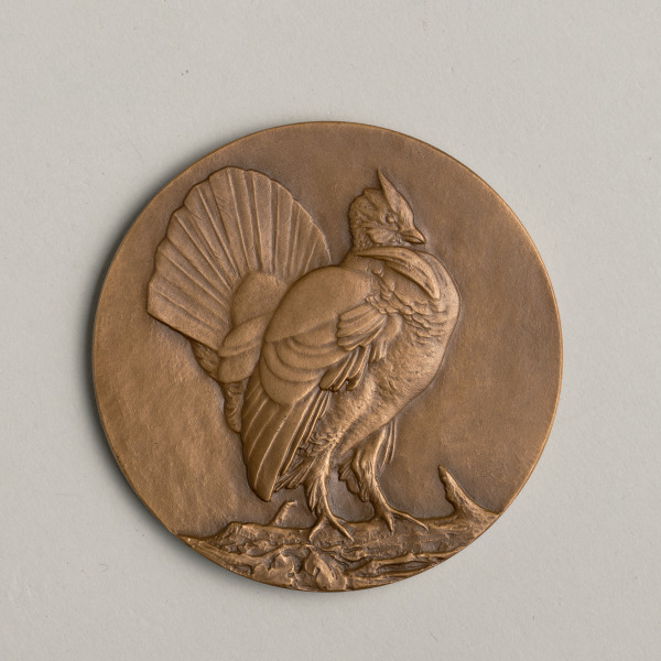 “Steady” Medal - Image 2