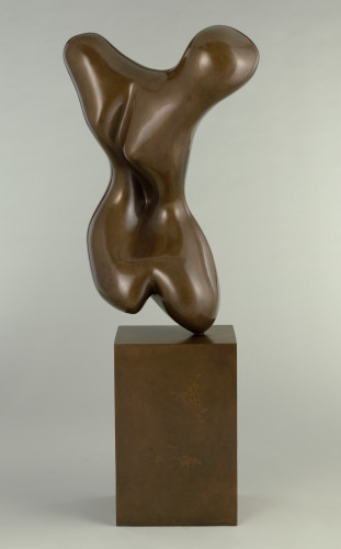 Torso - Image 1