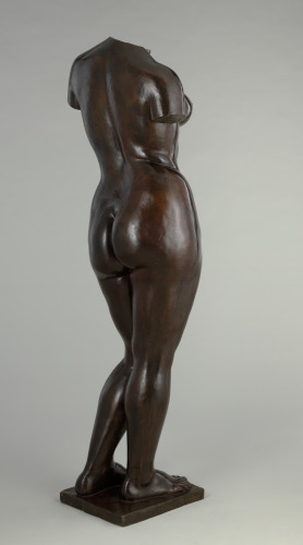 Torso of Summer - Image 5