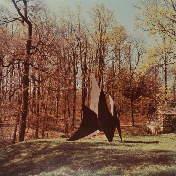 Alexander Calder, Four Dishes. Photograph taken in The Wurtzburger Sculpture Garden (original site, Timberlane) - Image 2