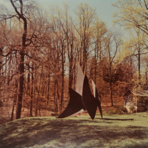 Alexander Calder, Four Dishes. Photograph taken in The Wurtzburger Sculpture Garden (original site, Timberlane)